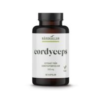 Cordyceps 90 kapslar Närokällan