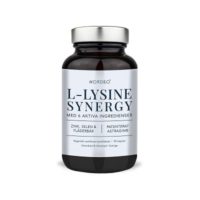 L-Lysine Synergy 90 kapslar Nordbo